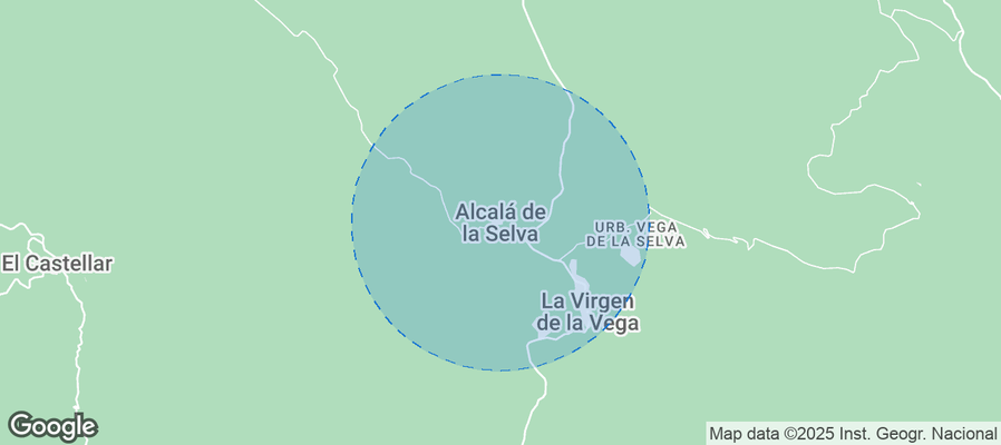 Discover Alcalá de la Selva Airbnb Analytics
